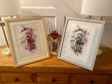 MD Framing and Photography