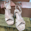 Miniatura: Sandales Maddie rose 