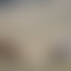 THE AUSTRALIAN ‘BRUMBY’ AT THE HEART OF MANY CONTROVERSIES