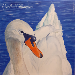 Portrait of a Swan