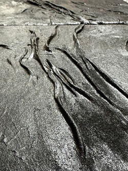Veins of Decay