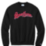 Thumbnail: Adult Crewneck Champion Southern LL