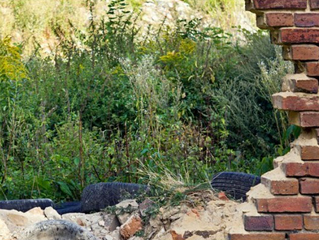 If You Want to Innovate --and Disrupt--Rethink the 70:20:10 Rule