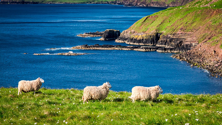 Outlander, Scotland, Cultivating Connections Travel Planners, travel advisor, Erin Smith, affinity groups, girls trips, ladies getaways, guided tours, journey, guided group journeys, custom group adventures, luxury travel, empty nesters