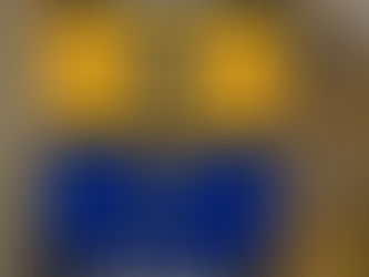 Showing Your Team Spirit with Bruins vs Blues House Divided Flag
