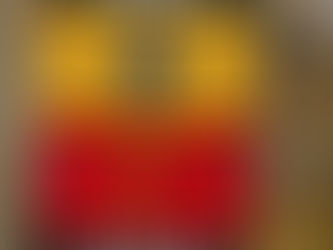 Bruins vs Flames House Divided Flag: Show Your Team Spirit in Style