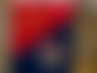 Bring the NHL Rivalry Home with Flames vs Panthers House Divided Flag