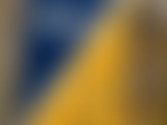 Show Your Team Spirit with the Rays vs Pirates House Divided Flag!