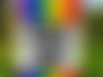Express Your Pride with the Born This Way Flag!
