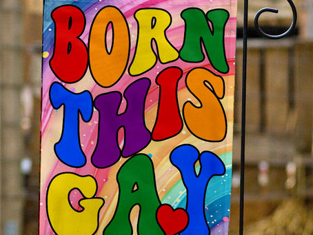 Embrace Your Pride with the Born This Gay Flag!