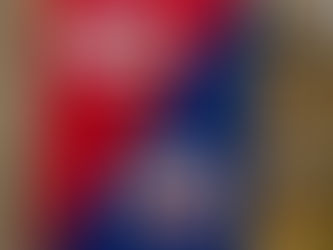 The Ultimate Showdown: Reds vs Mets House Divided Flag