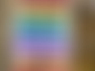 Enhance Your Home with the "In This House We Believe" LGBT Pride Flag