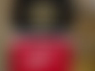 The Ultimate House Divided Flag for Bruins and Red Wings Fans