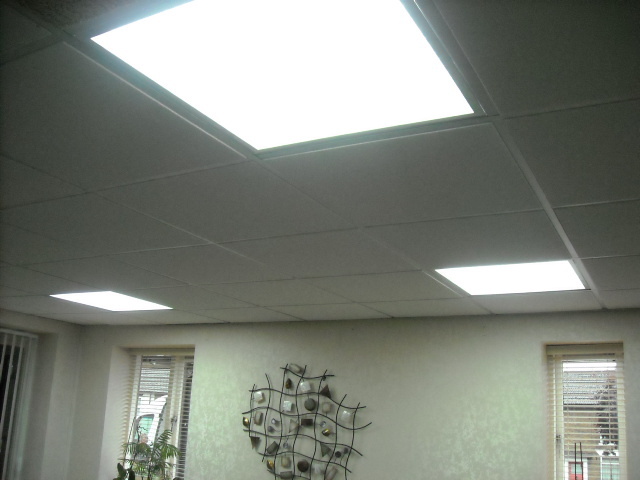 Southern Ceilings