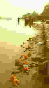 Ganges