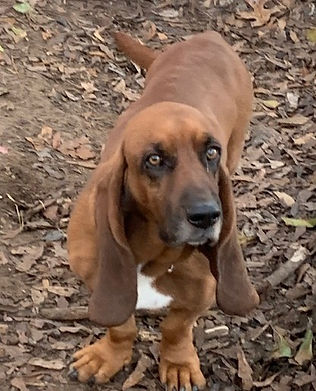 Rusty 12-25 (3).jpeg