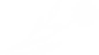 white flower logo
