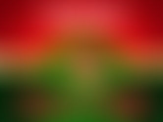 COMUNICADO DA SEC DE EDUC. - FESTA DE NATAL