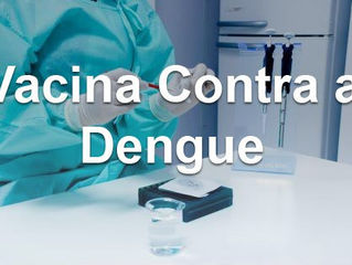 Brasil poderá ter vacina contra a dengue em 2019