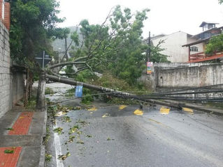 Ciclone de até 118 km/h causa destruição em Santa Catarina