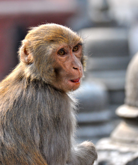 2013_NEPAL_0-2.jpg