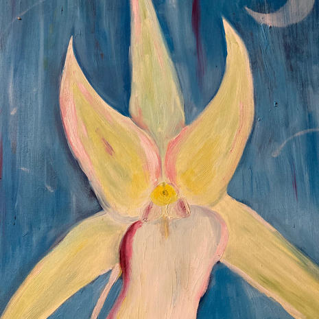 Darwin's Orchid