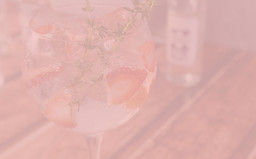 gin-tonic-g4c615818b_1920_edited.jpg