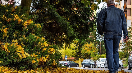 street-ge2dee984f_1920_edited.jpg