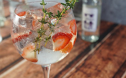 gin-tonic-g4c615818b_1920.jpg