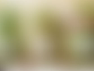 La curación por medio de la nutrición