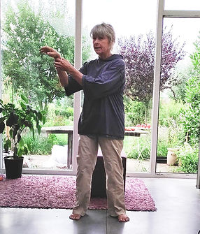 cours particulier tai chi 