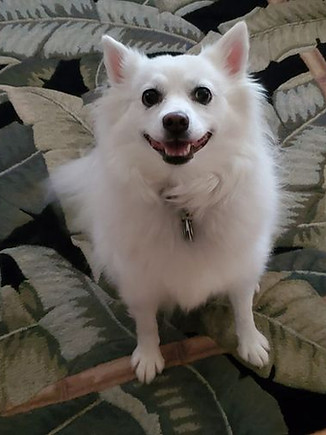 Lumi