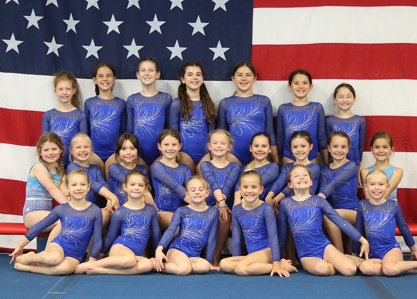 Gymnastics Competitive Team