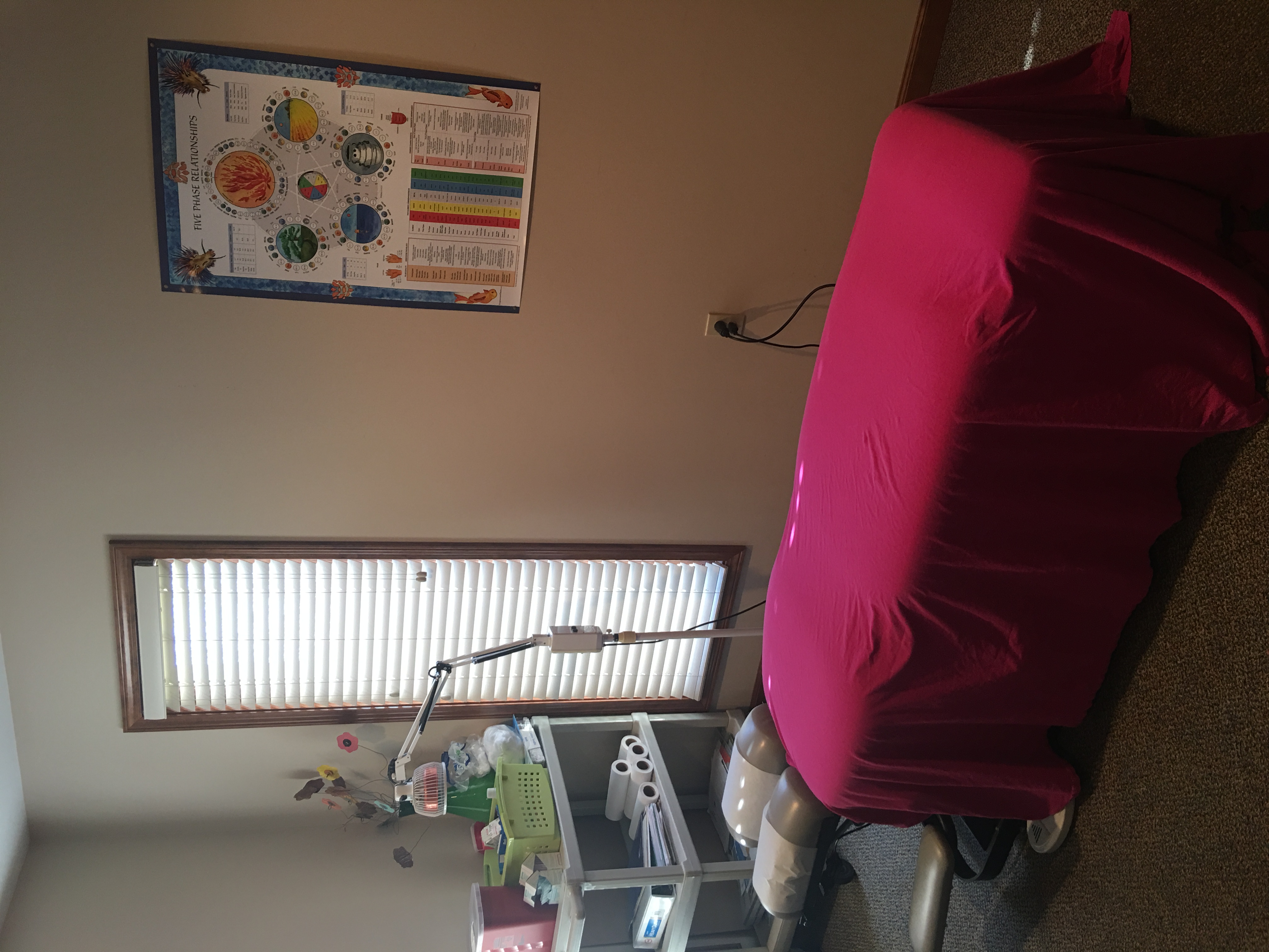 Acupuncture Room