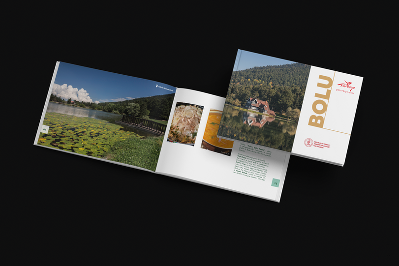 Free landscape Booqk Mockup 09.png