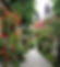 Dorset Grey 20x40.jpg