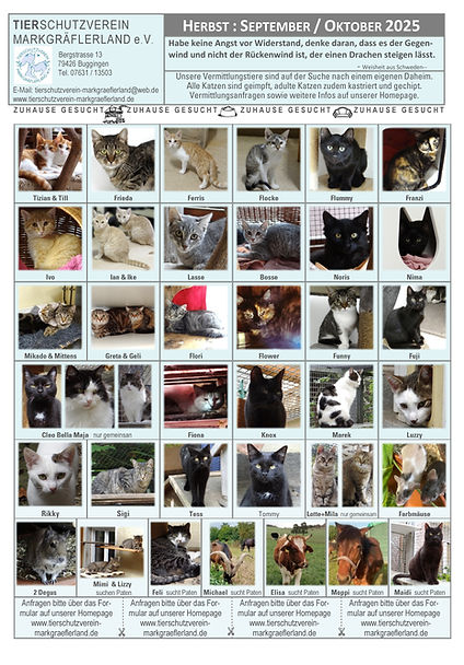 Flyer 2025_5_Sep Okt.jpg