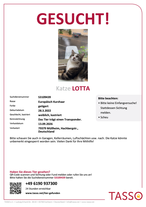 lotta