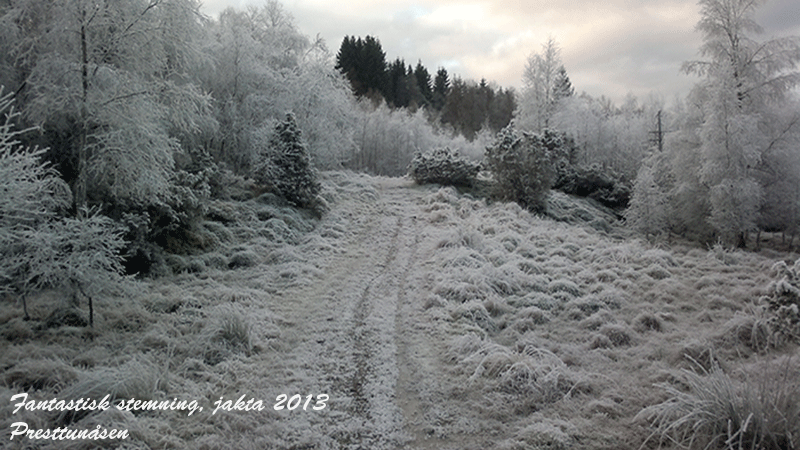 Rim-i-prestunåsen-justert