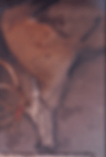 12-tagger-2015