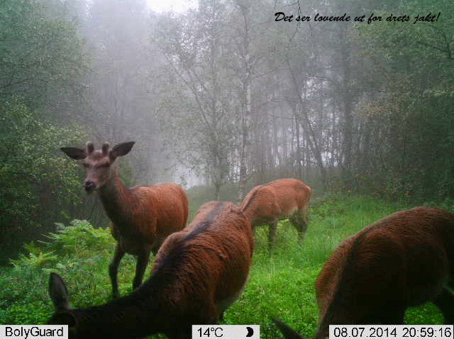 Flokker-seg-på-osterøy_justert