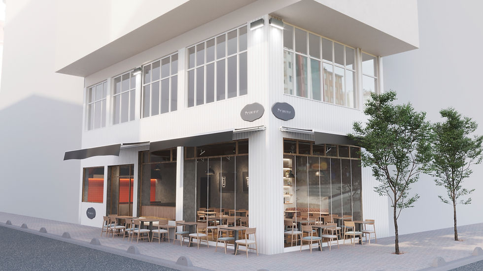 Primitif Eskişehir Sunum Dosyası 10-11-21.jpg