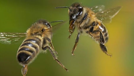 The face of jealousy