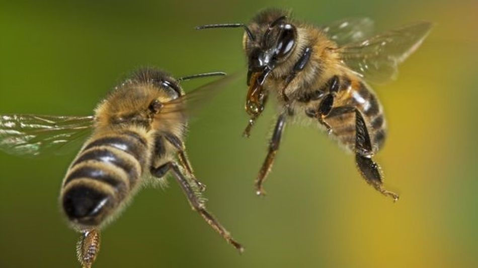 The face of jealousy