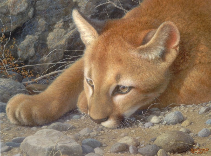 CAMPOS, OSCAR "Sereno descanso"