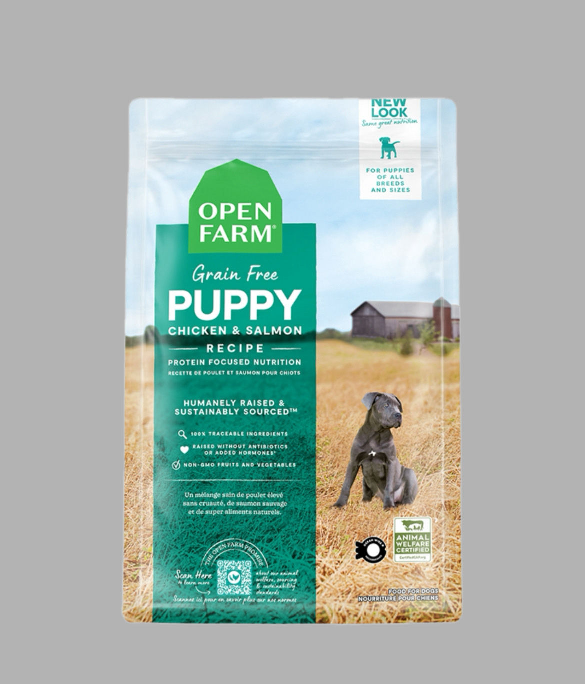 Chicken & Salmon Puppy Recipe 