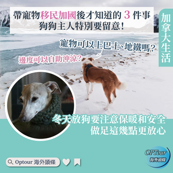 加拿大生活|帶著寵物移民加國後才知道的 3 件事:主人放狗特別要留意!