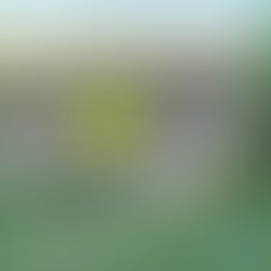 英國置業|港人移英新寵地點 Sheffield:市中心盡享地利,升值潛力非凡