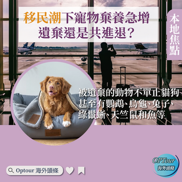 本地焦點|移民潮下寵物棄養急增:遺棄還是共進退?