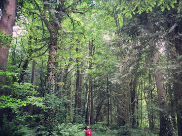 Uranus in Taurus: Mother Calls